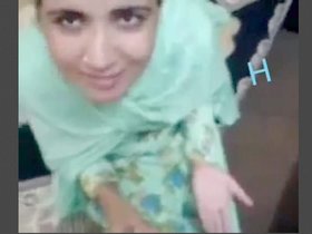 Desi wife satisfies her lover with oral skills in hot video