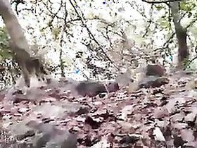 Outdoors Desi muff porn music video