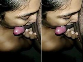 Desi Wife gives a blow job and fucks Part 2